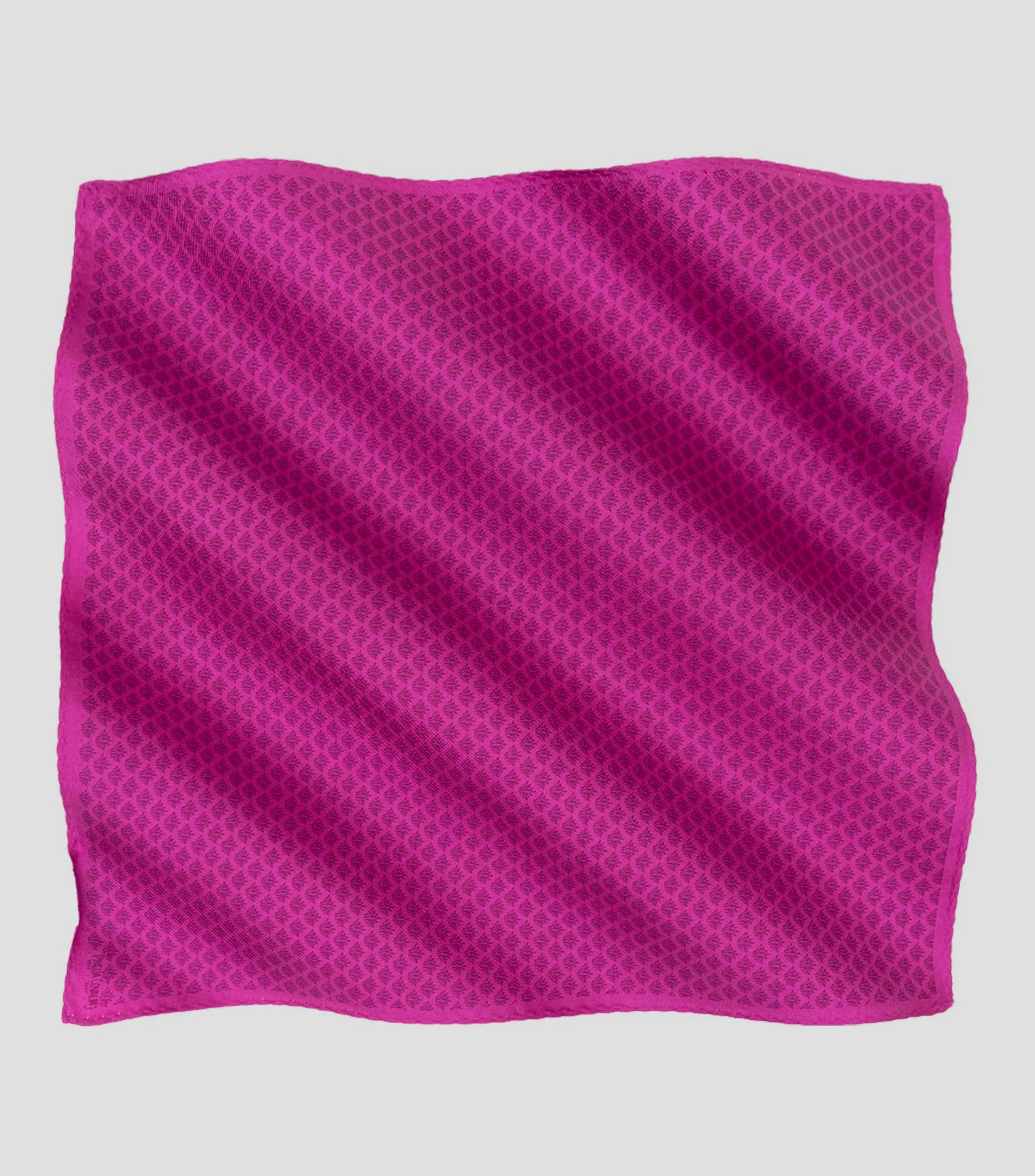 Pineda Covalin Pañuelo de seda fucsia Campo Agaves Hombre