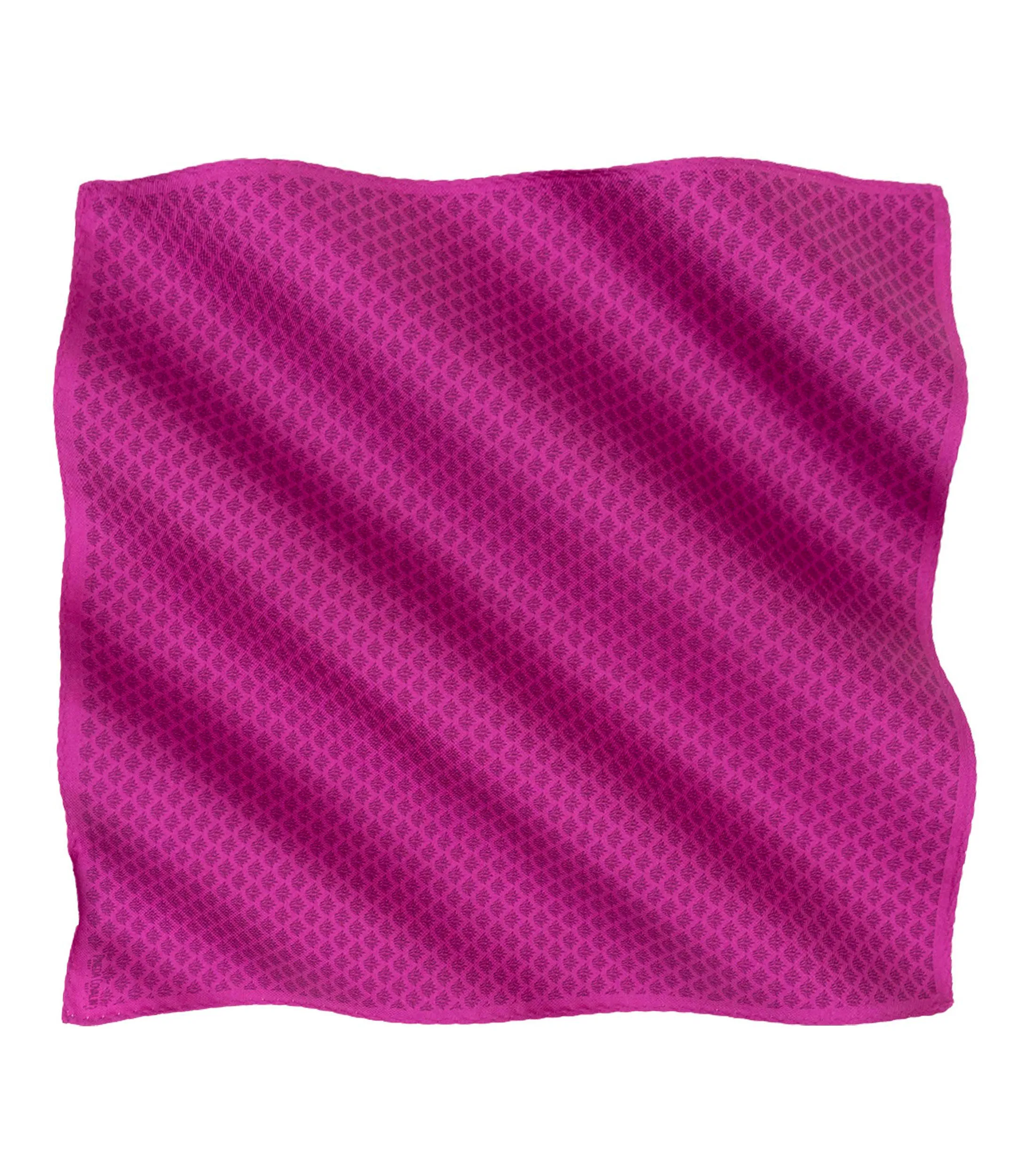 Pineda Covalin Pañuelo de seda fucsia Campo Agaves Hombre